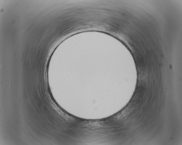 X0000068261516200605191750