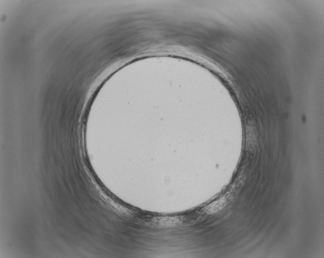 X0000068261517200605191750