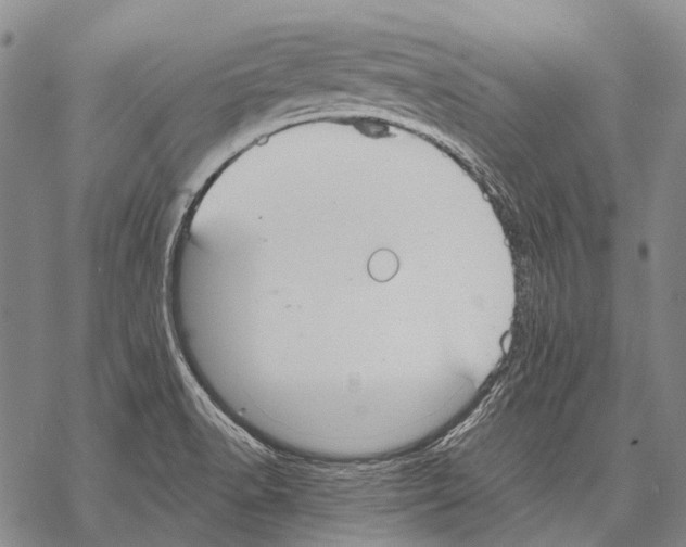 X0000068261518200605191750