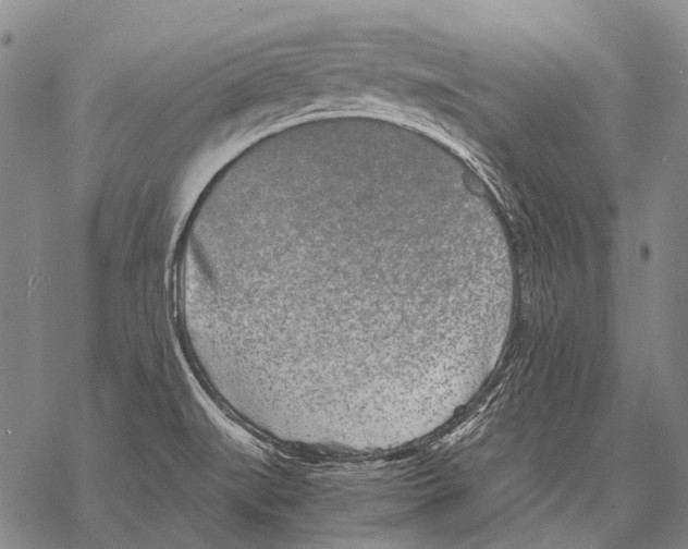 X0000068261519200605191750