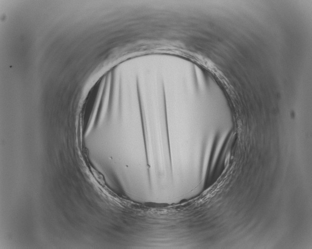 X0000068261520200605191750