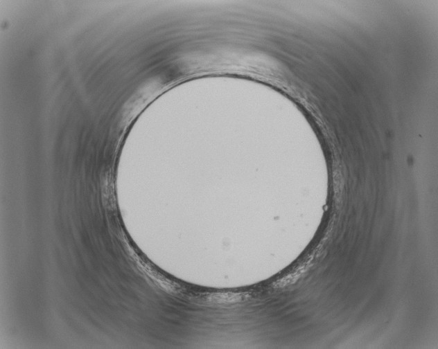 X0000068261521200605191750