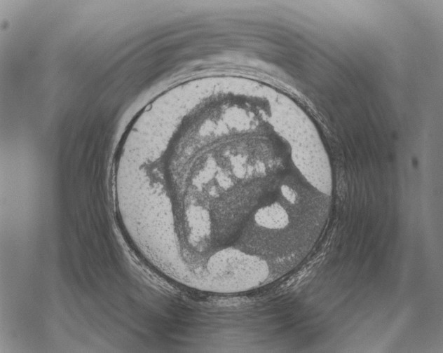 X0000068261522200605191750