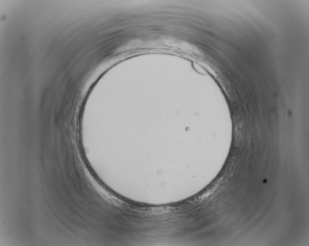 X0000068261523200605191750