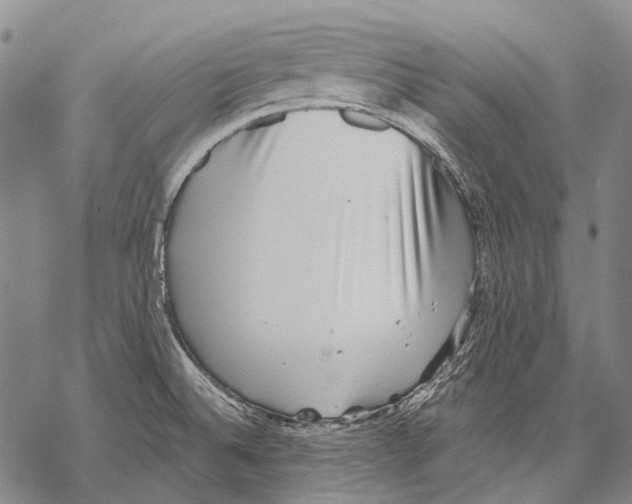 X0000068261524200605191750