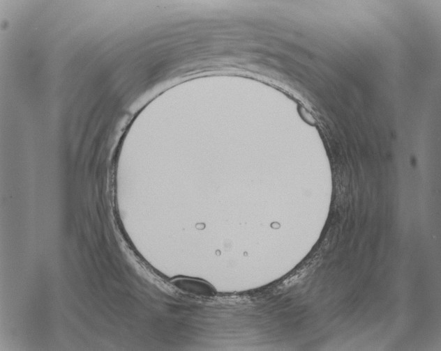 X0000068261526200605191750