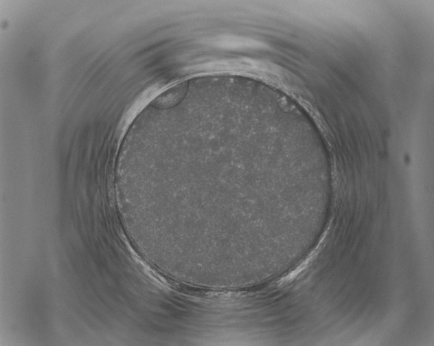 X0000068261529200605191750