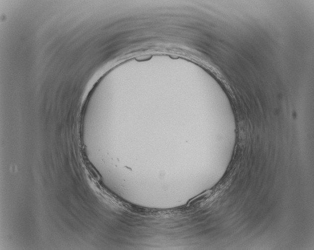 X0000068261530200605191750