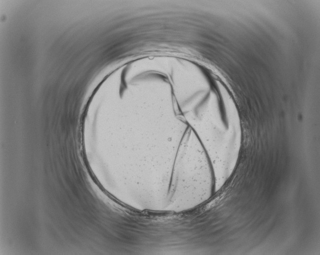 X0000068261531200605191750