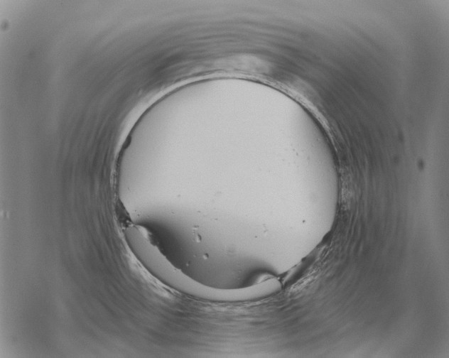 X0000068261532200605191750