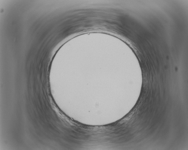 X0000068261534200605191750