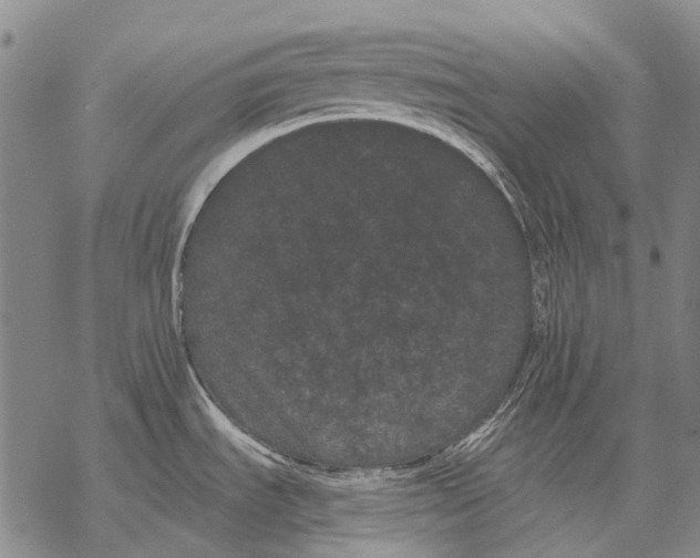 X0000068261535200605191750