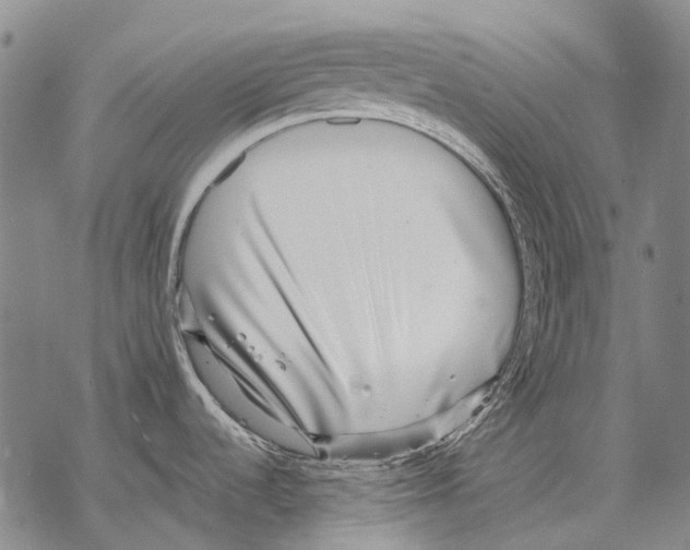 X0000068261536200605191750