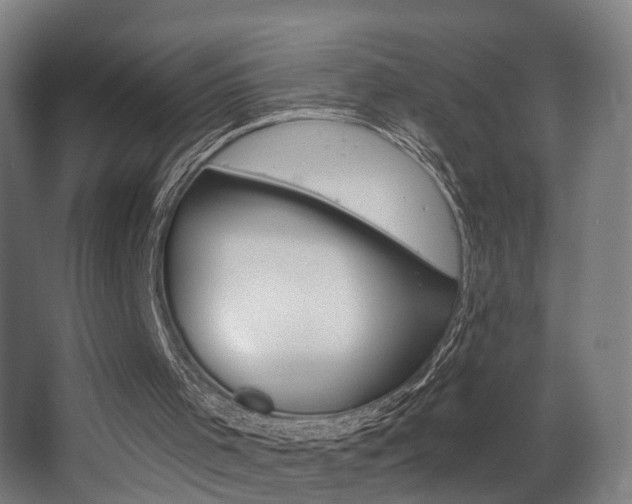 X0000068270001200604210952