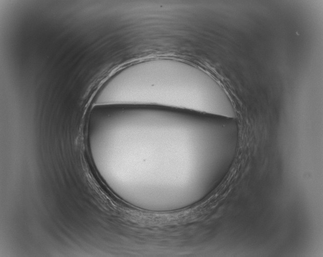 X0000068270002200604210952