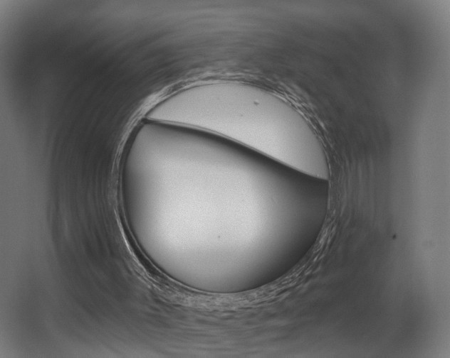 X0000068270003200604210952