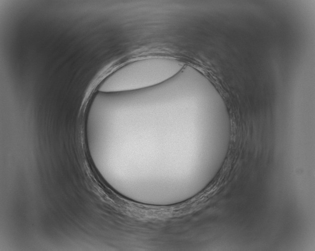 X0000068270004200604210952