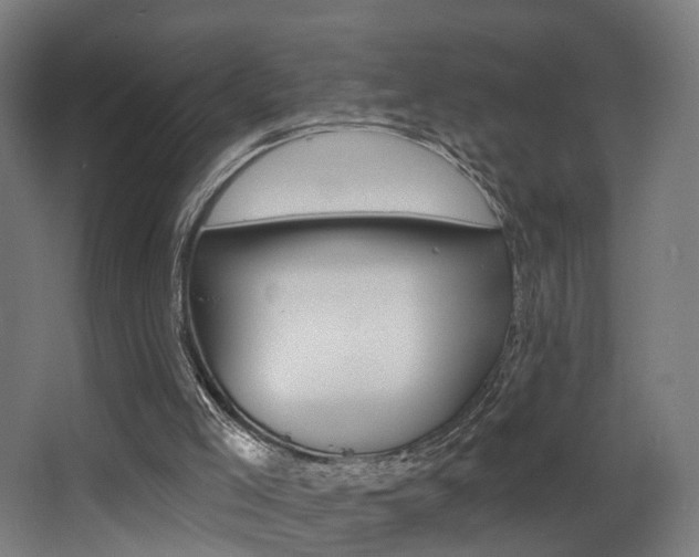 X0000068270005200604210952