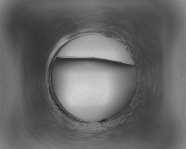 X0000068270006200604210952