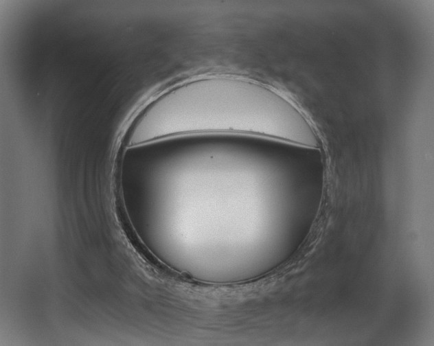 X0000068270007200604210952