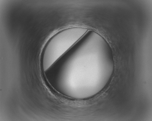 X0000068270008200604210952