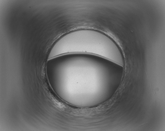 X0000068270009200604210952