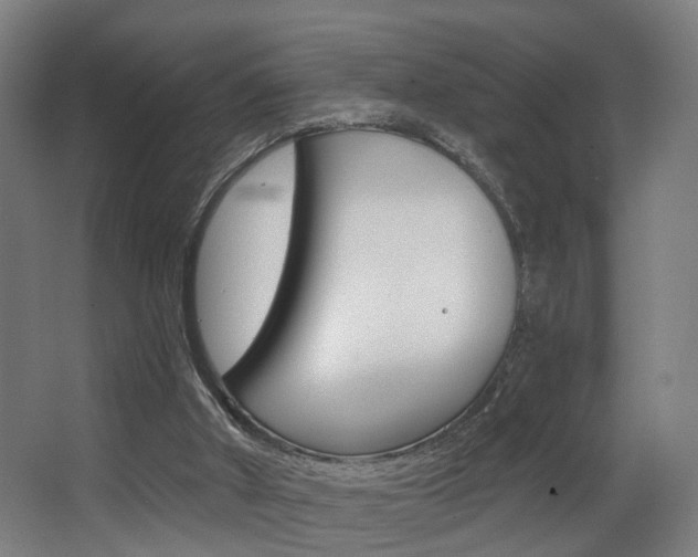 X0000068270010200604210952