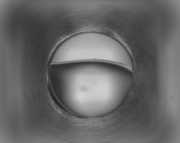 X0000068270011200604210952