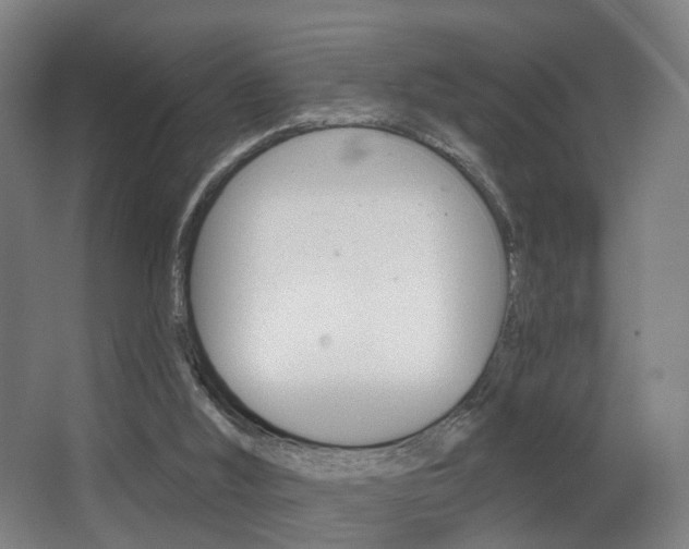 X0000068270012200604210952