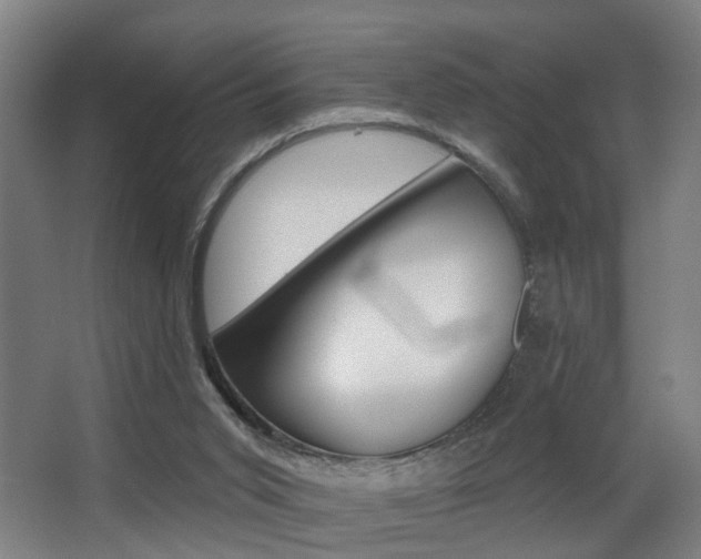 X0000068270015200604210952