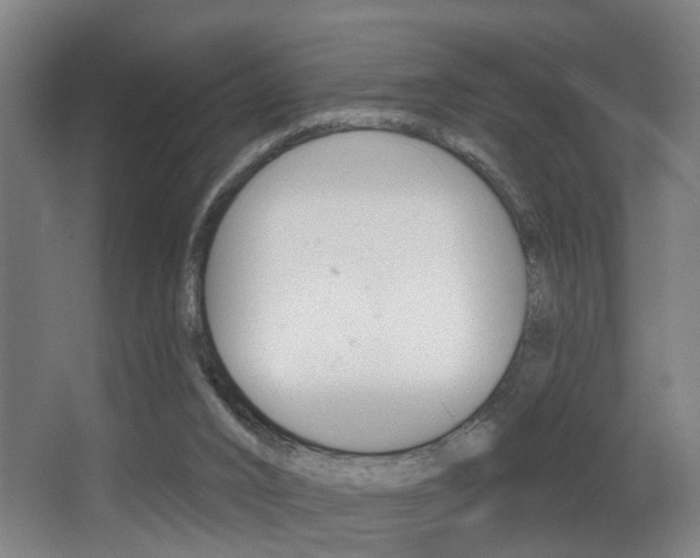 X0000068270016200604210952