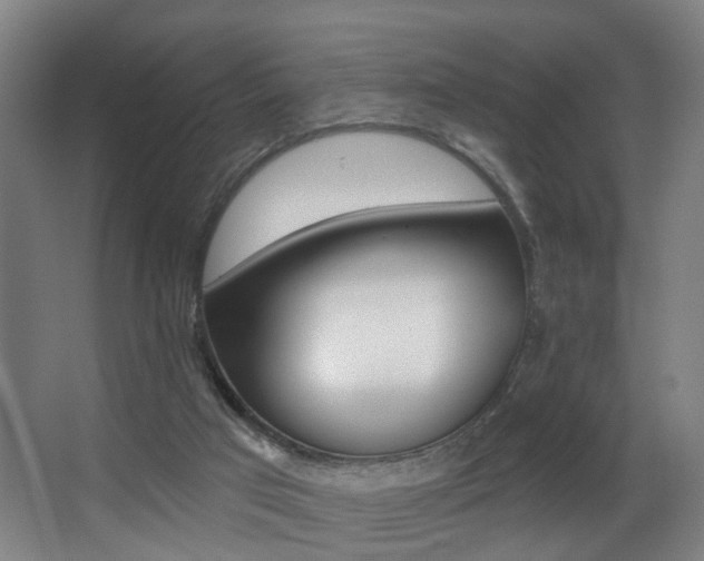 X0000068270017200604210952