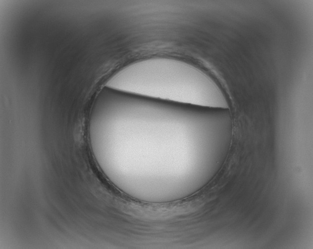 X0000068270018200604210952