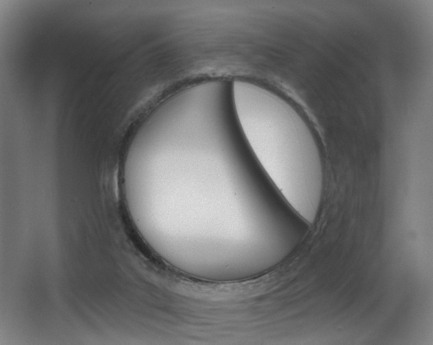 X0000068270019200604210952