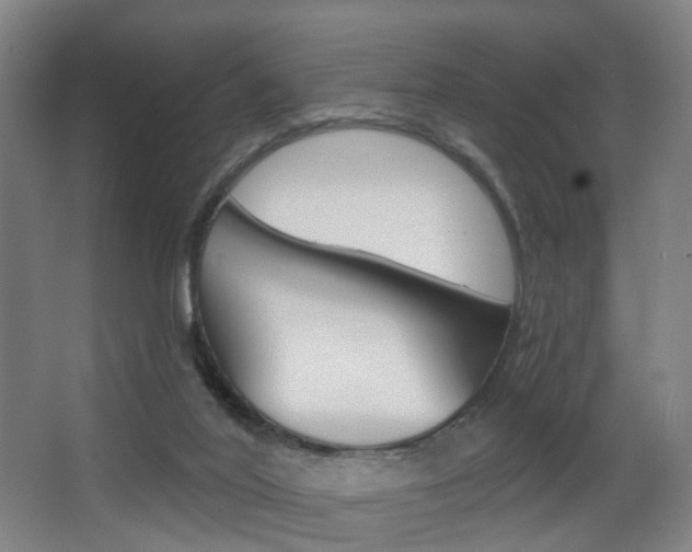 X0000068270020200604210952