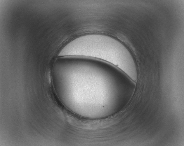 X0000068270021200604210952