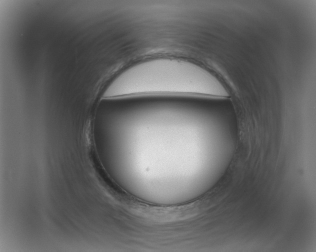 X0000068270023200604210952