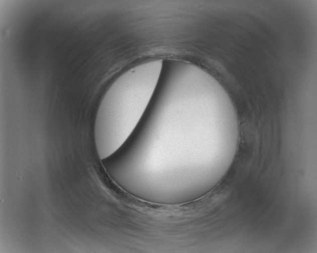 X0000068270024200604210952