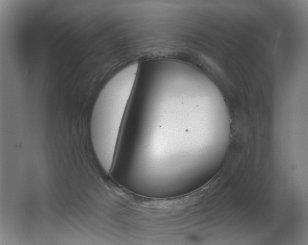 X0000068270025200604210952