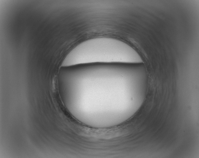 X0000068270026200604210952