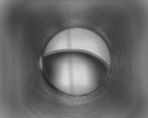 X0000068270027200604210952