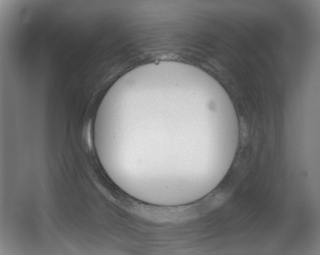 X0000068270028200604210952