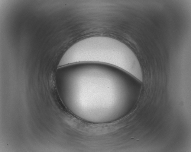 X0000068270029200604210952