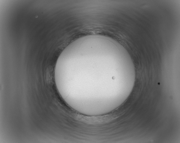 X0000068270030200604210952