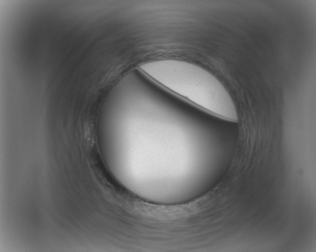 X0000068270031200604210952