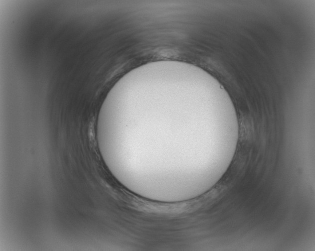 X0000068270032200604210952