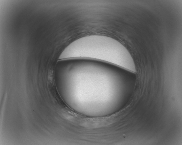 X0000068270033200604210952