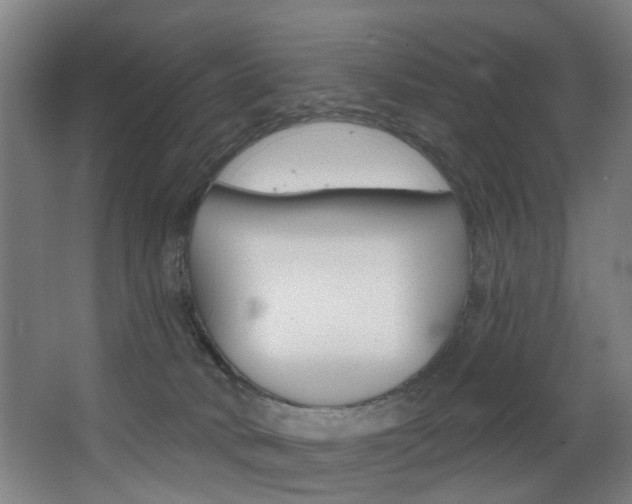 X0000068270034200604210952