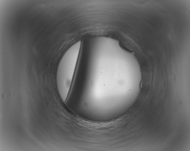 X0000068270035200604210952