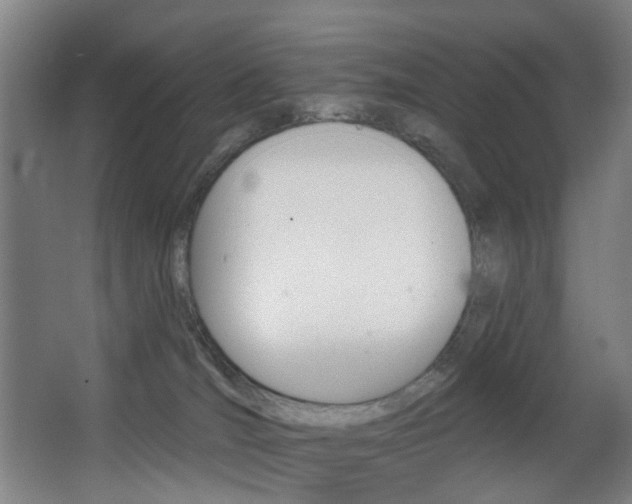 X0000068270036200604210952